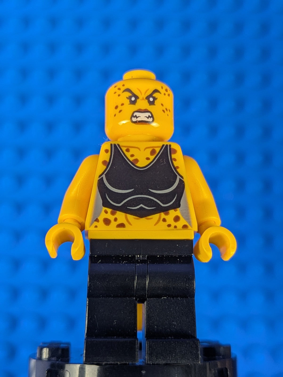 Lego Super Heroes: Justice League: Cheetah sh0460 Set 76097