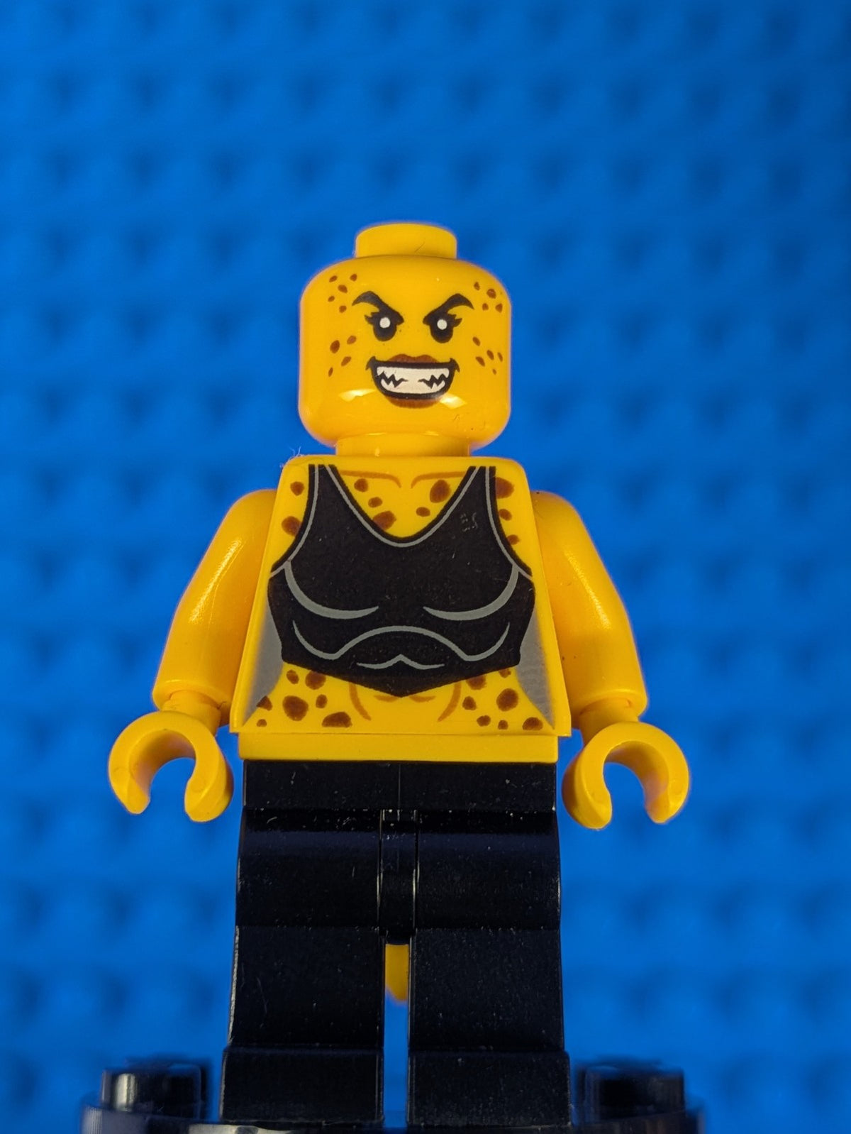 Lego Super Heroes: Justice League: Cheetah sh0460 Set 76097