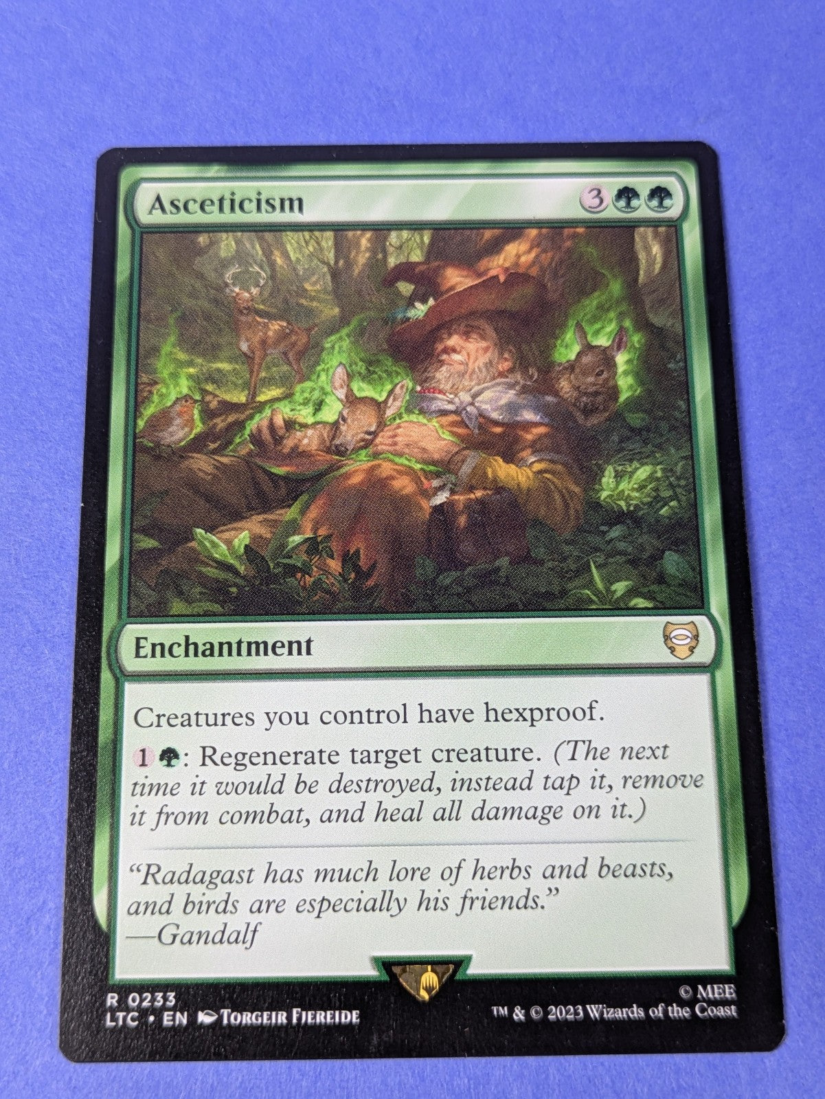 MTG Magic: The Lord of the Rings: Asceticism #0233 Rare - NM