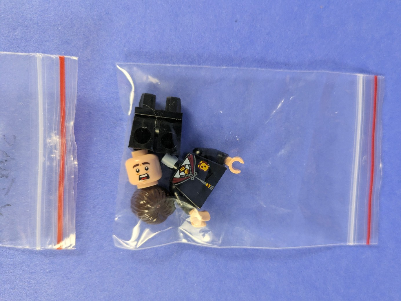 Lego Harry Potter: Sculptures: Chomping Monster Book of Monsters Set 76449