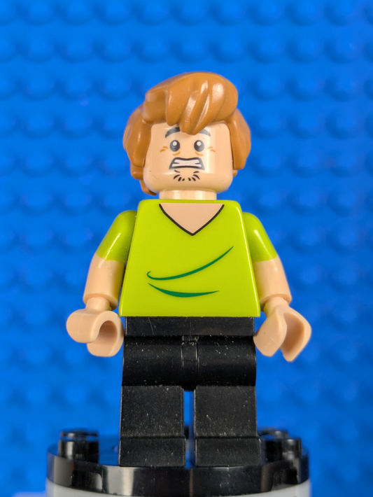 Lego Scooby-Doo: Shaggy Rogers - Closed Mouth scd001 Sets 75901, 71206