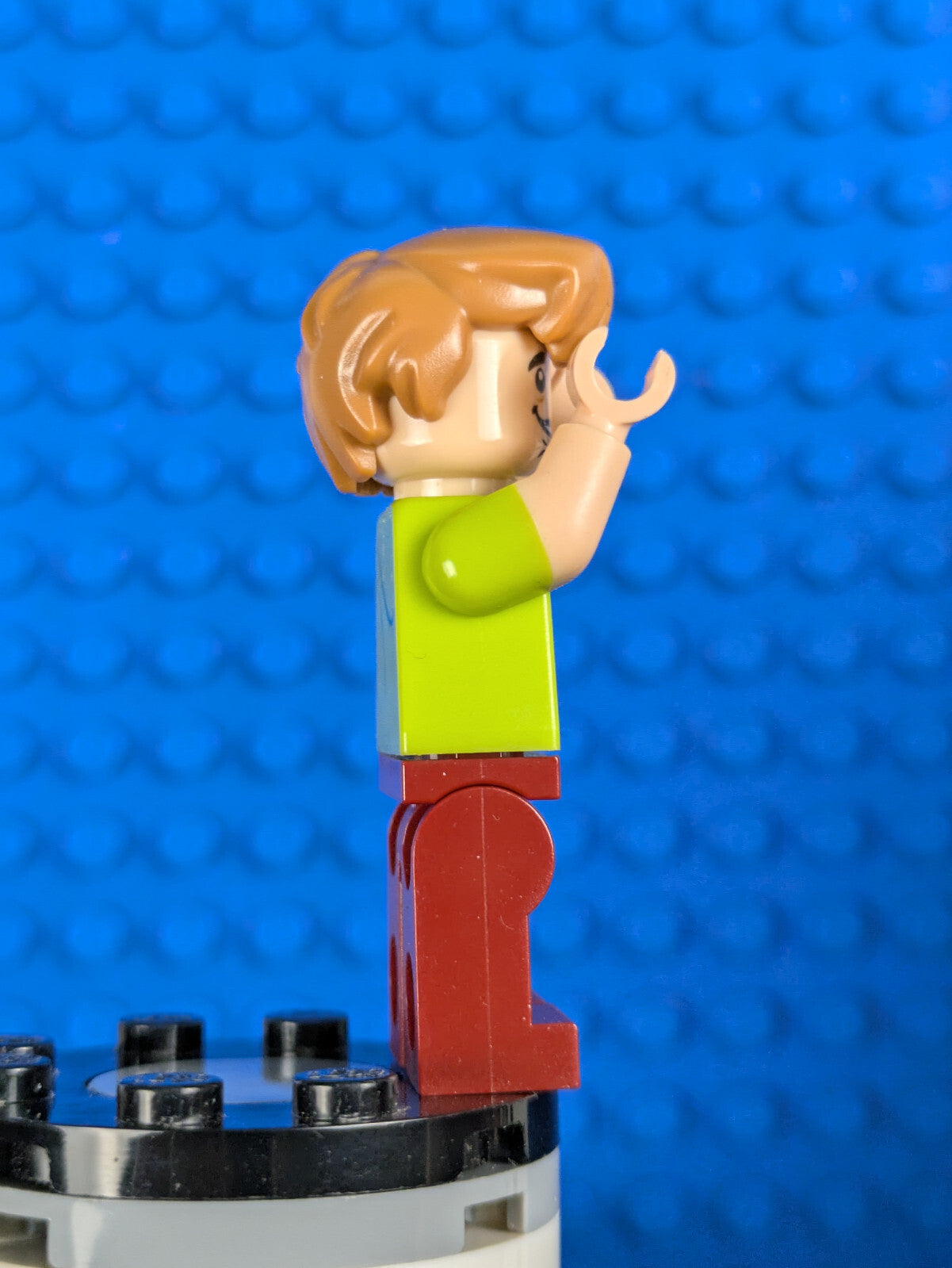 Lego Scooby-Doo: Shaggy Rogers - Open Mouth Grin scd003 Sets 75904, 75902