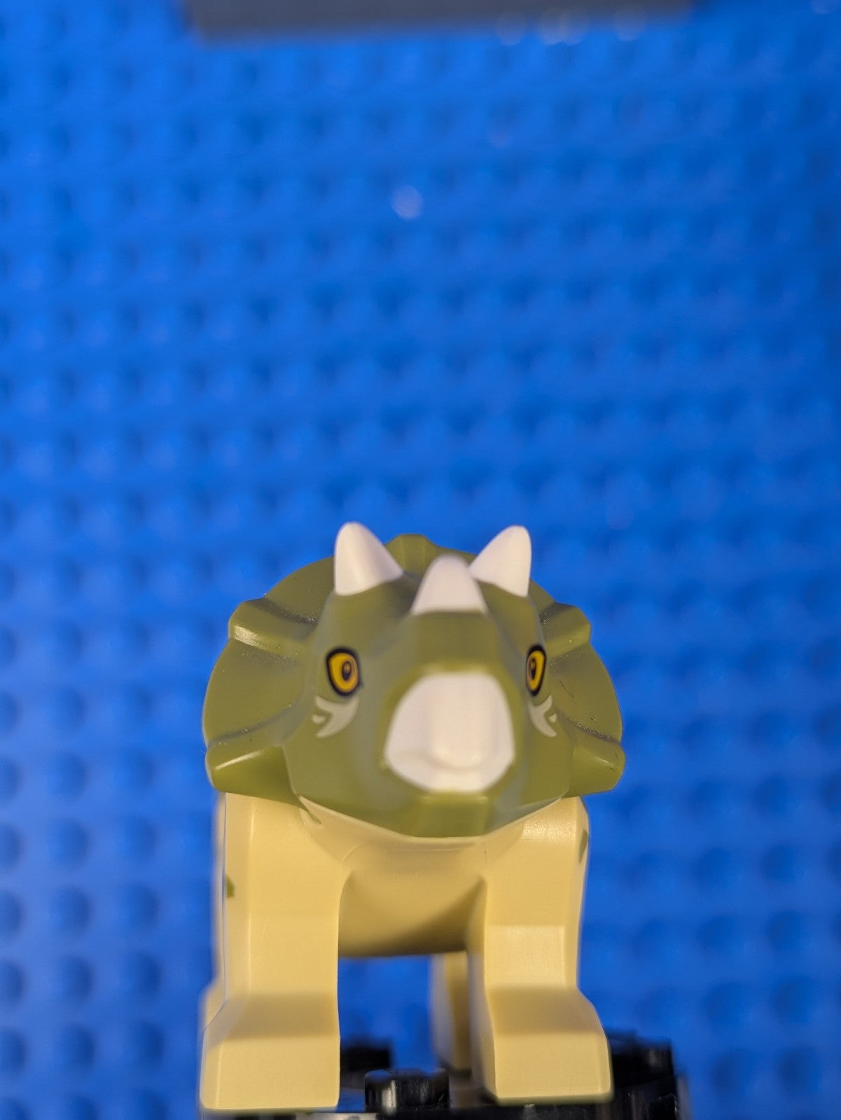 Lego Jurassic World: Animal: Dinosaur Triceratops Baby tricera05 Set 75939