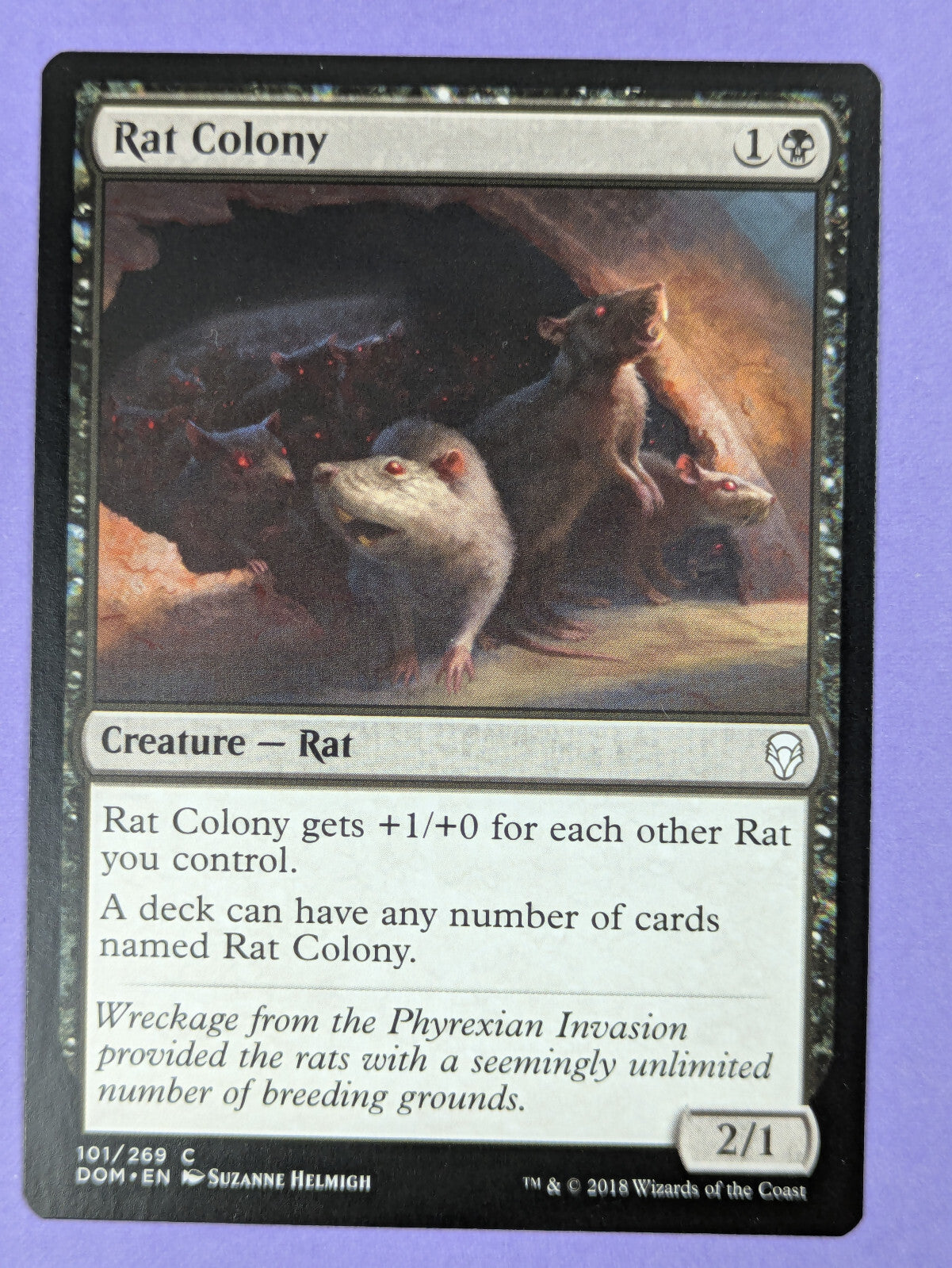 MTG Magic The Gathering: Dominaria: Rat Colony #101/269 Common - NM