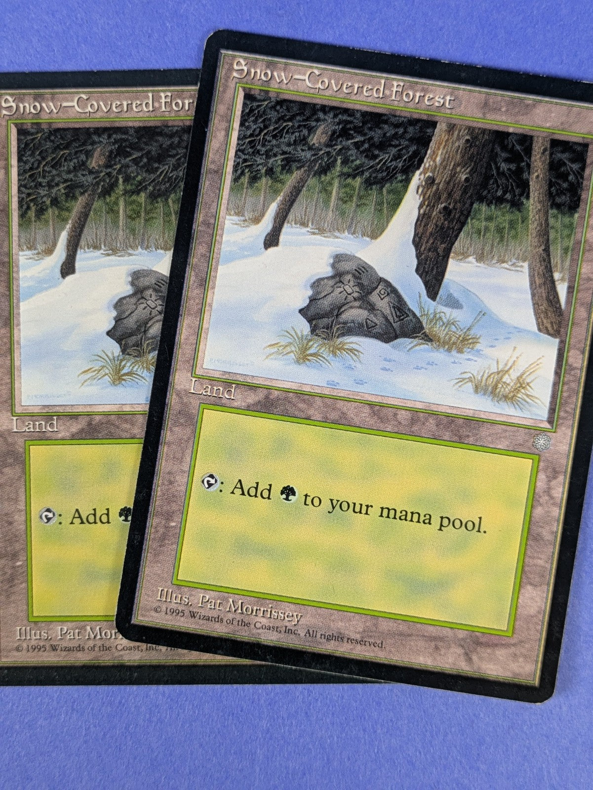 MTG Magic the Gathering: Ice Age: Snow-Covered Forest #383 Basic - LP