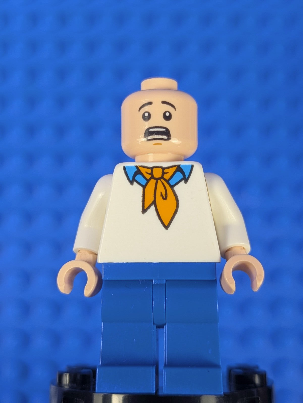 Lego Scooby-Doo: Fred Jones scd008 Set 75902