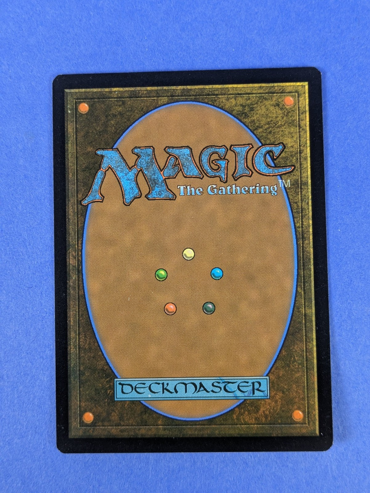 MTG Magic: The Lost Caverns of Ixalan: Forest #0291 Basic Land - NM