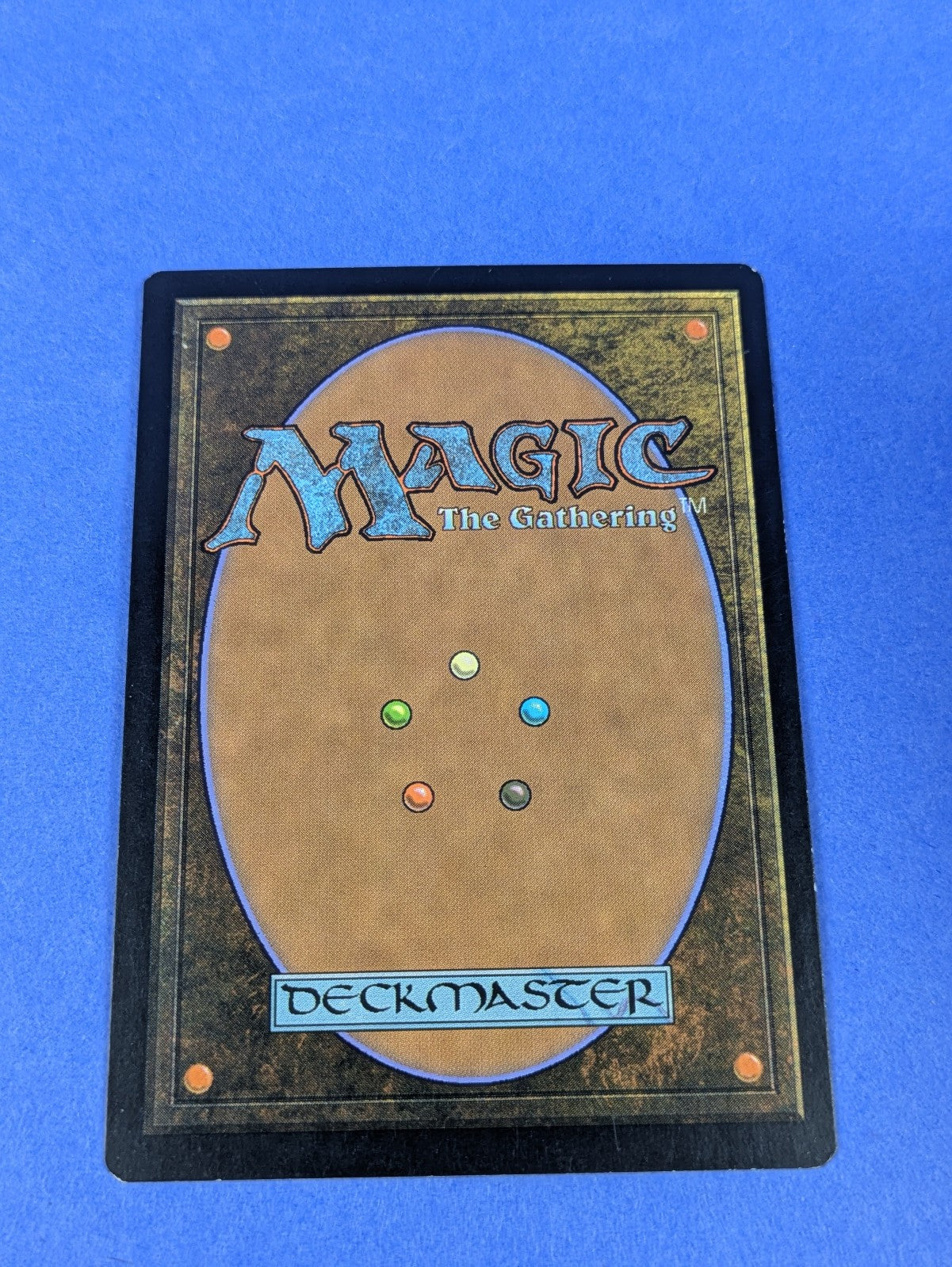 MTG Magic the Gathering: Gift Pack: Forest Foil #005/005 Promo - LP