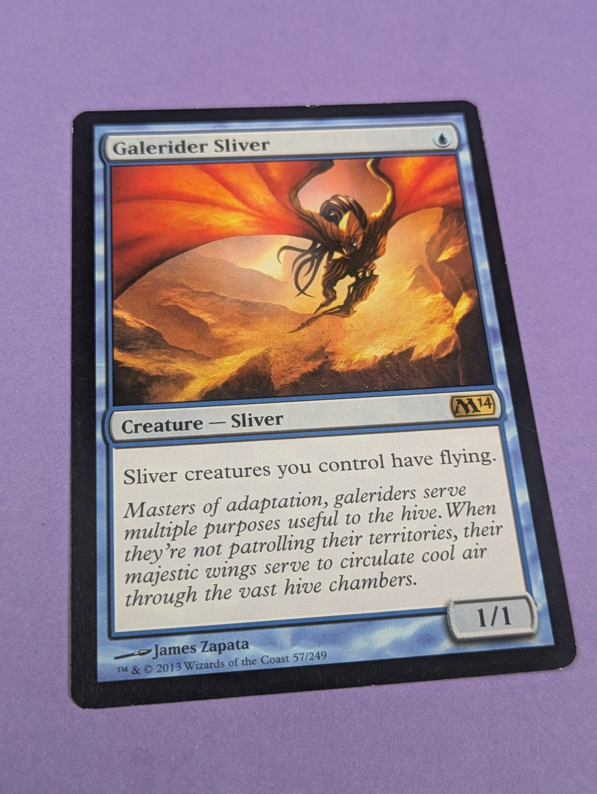 MTG Magic: Magic 2014: Galerider Sliver #57/249 Rare - NM