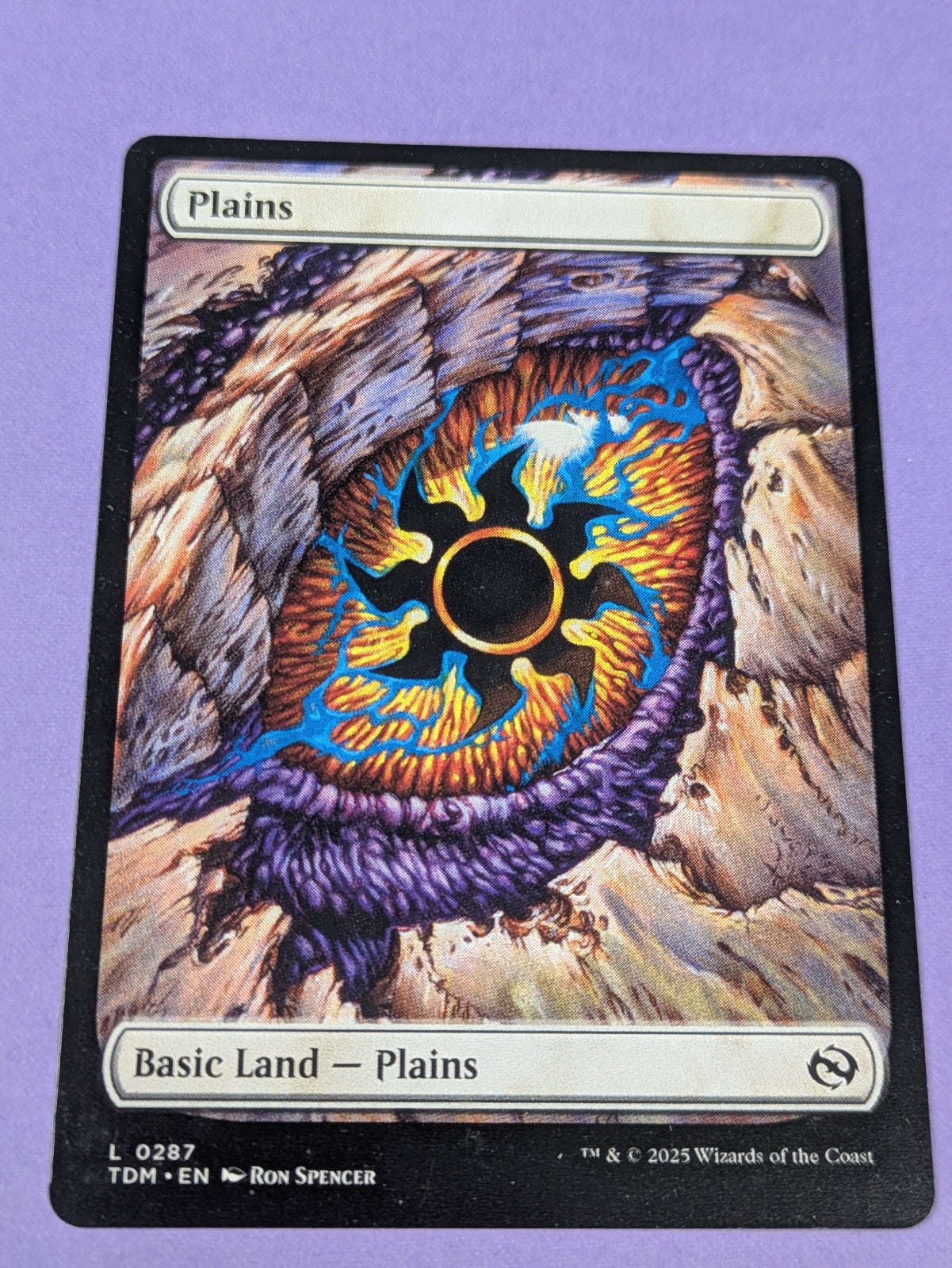 MTG Magic: Tarkir: Dragonstorm: Plains Full Art #0287 Basic Land - NM