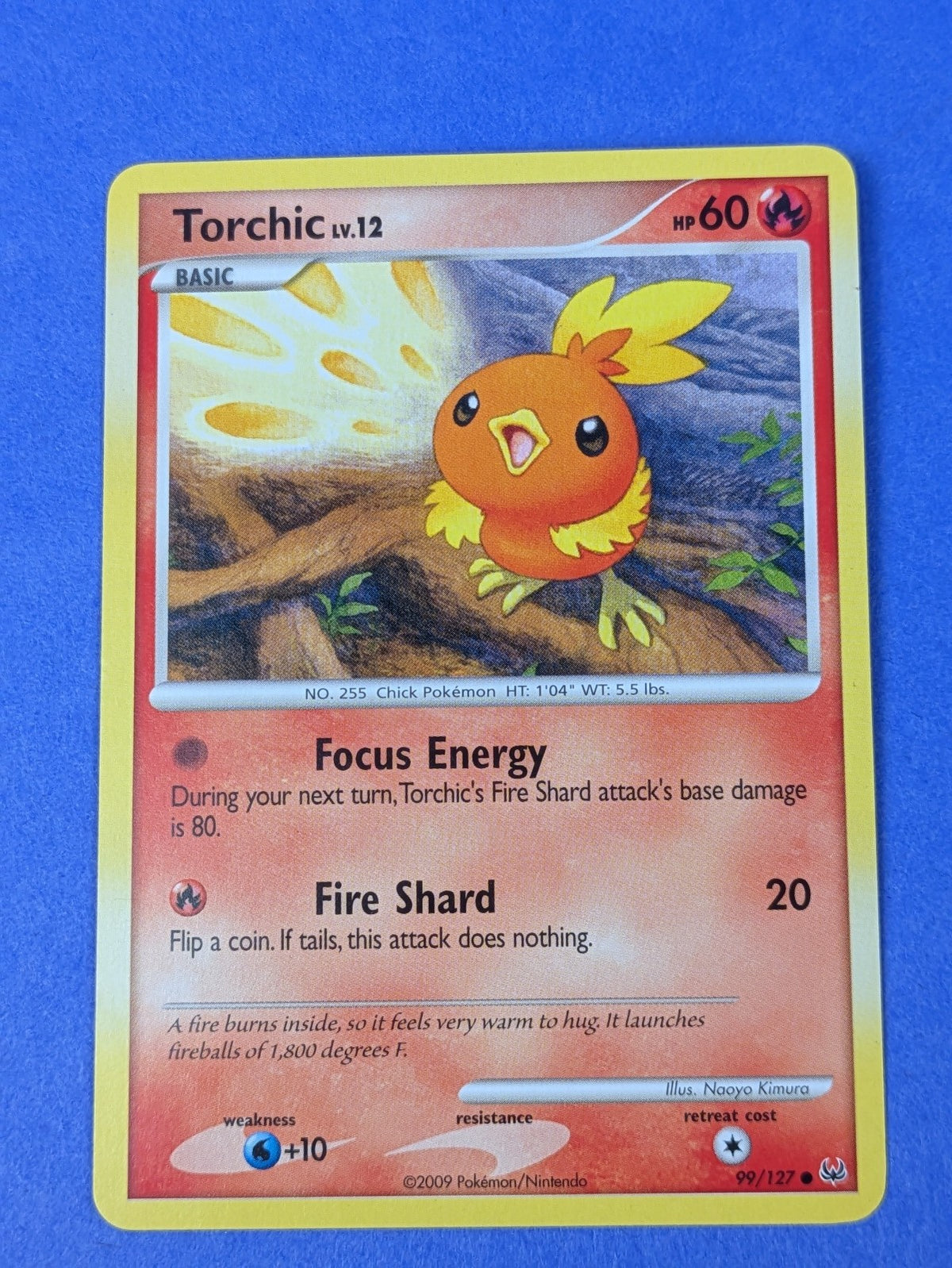 Torchic - 99/127 - Common Platinum - Pokemon Card - NM
