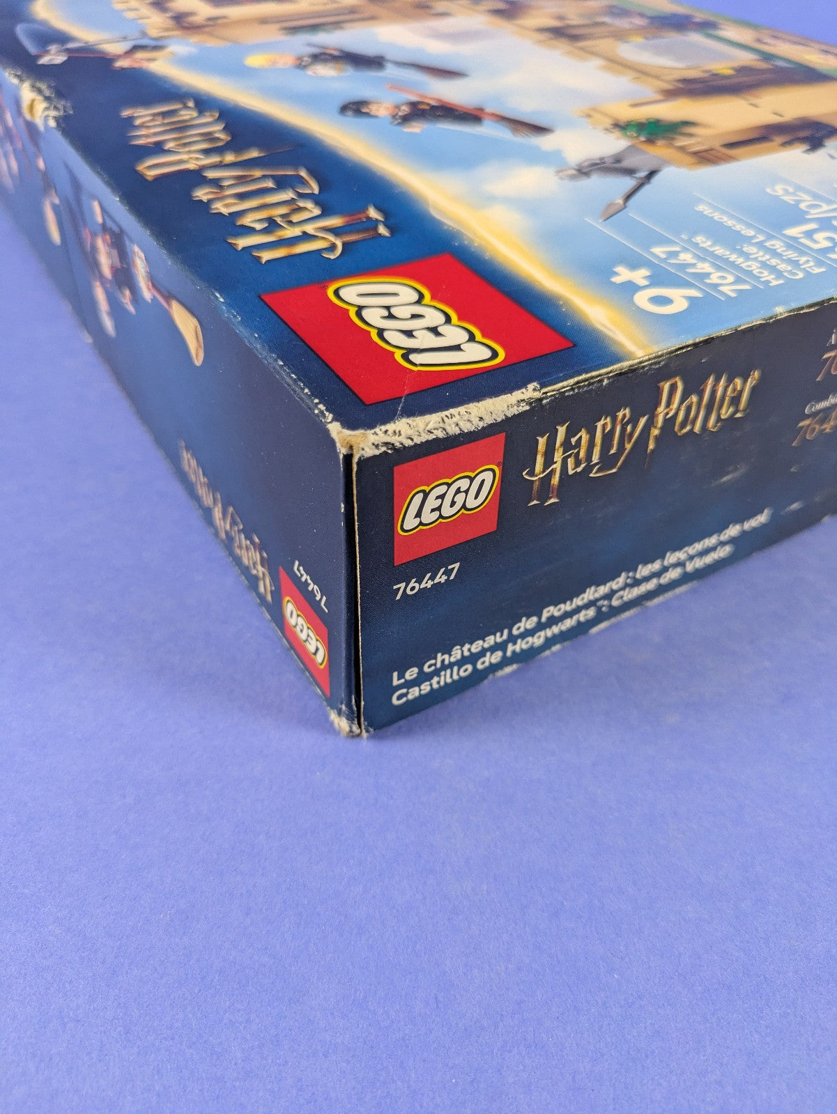 Lego Harry Potter: Hogwarts Castle: Flying Lessons Set 76447 BRAND NEW