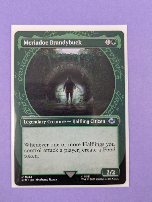MTG: The Lord of the Rings: Meriadoc Brandybuck #0314 Uncommon - NM