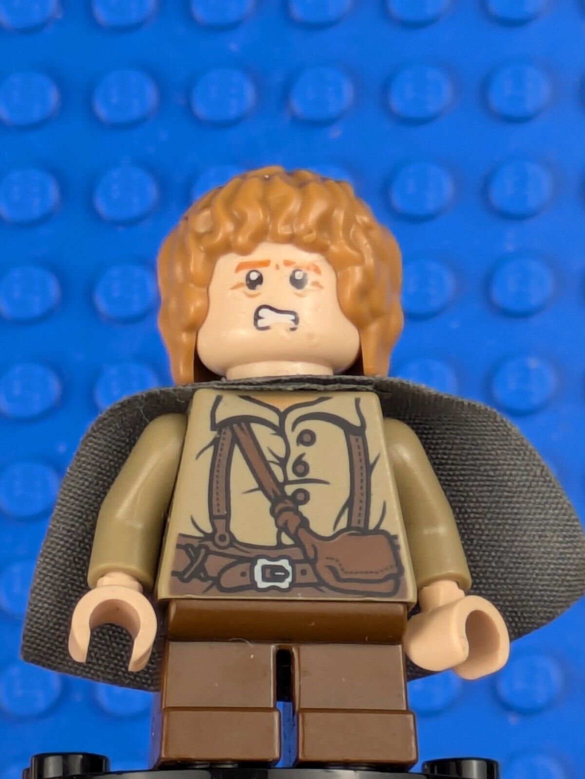 Lego The Hobbit and The Lord of the Rings: Samwise Gamgee (Sam) lor004 ...