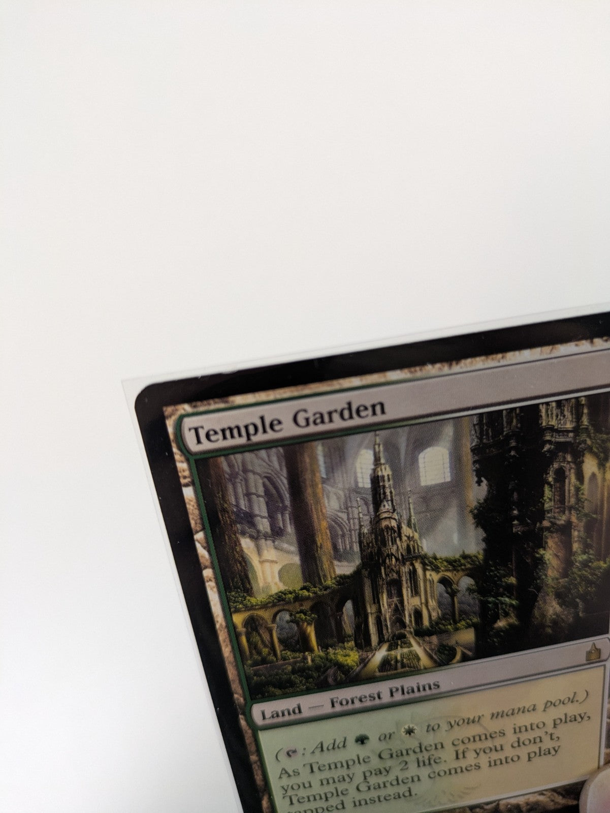 MTG: Magic The Gathering: Ravnica: Temple Garden - RARE - LP