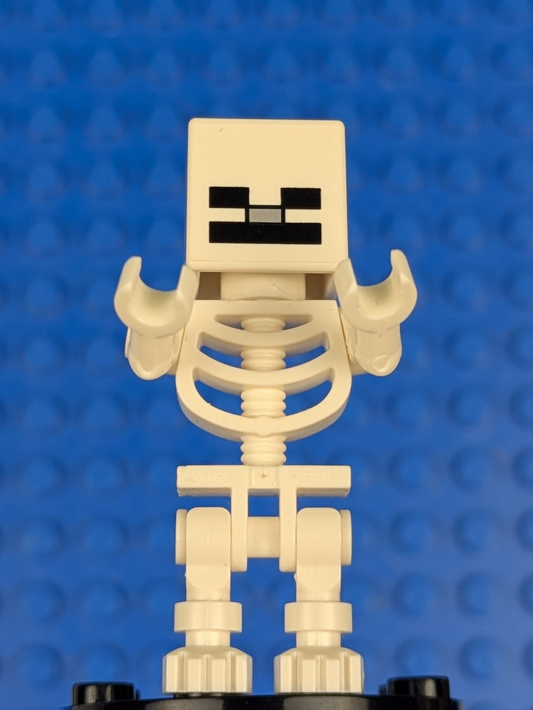 Lego Minecraft: Skeleton - Minecraft min011 Sets 21118, 21282