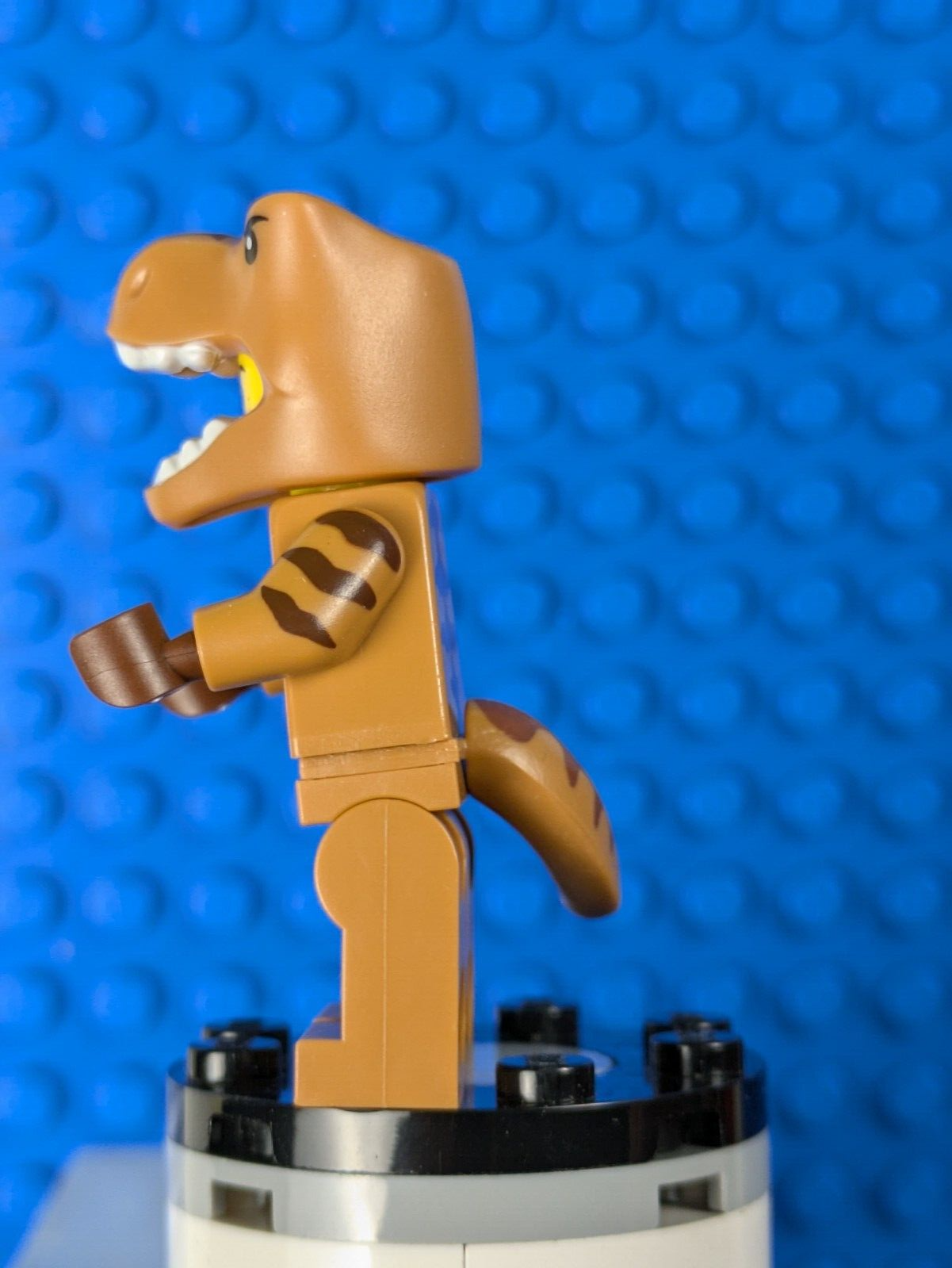 Lego Minifigure Series 24: T-Rex Costume Fan col417 Sets 71037, 66733