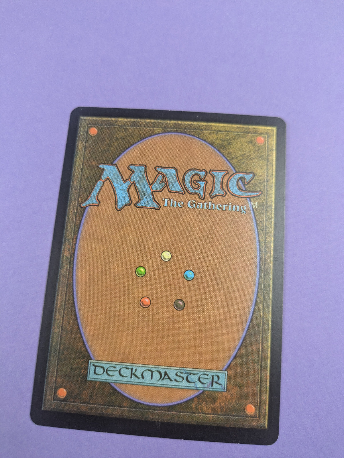 MTG Magic The Gathering: Morningtide: Thornbite Staff Uncommon - NM