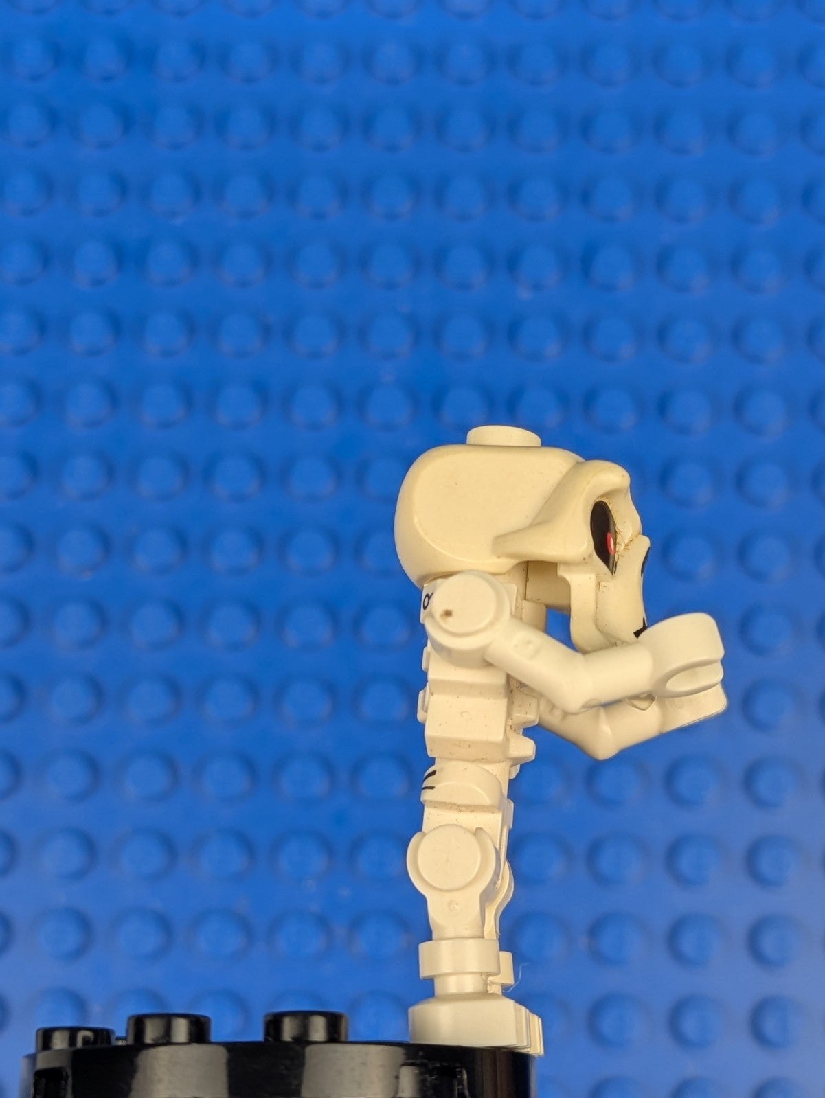 Lego NINJAGO: The Golden Weapons: Wyplash (Skulkin) njo0028 Set 2175