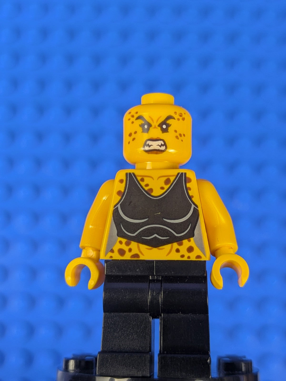 Lego Super Heroes: Justice-League Cheetah sh0460 Set 76097