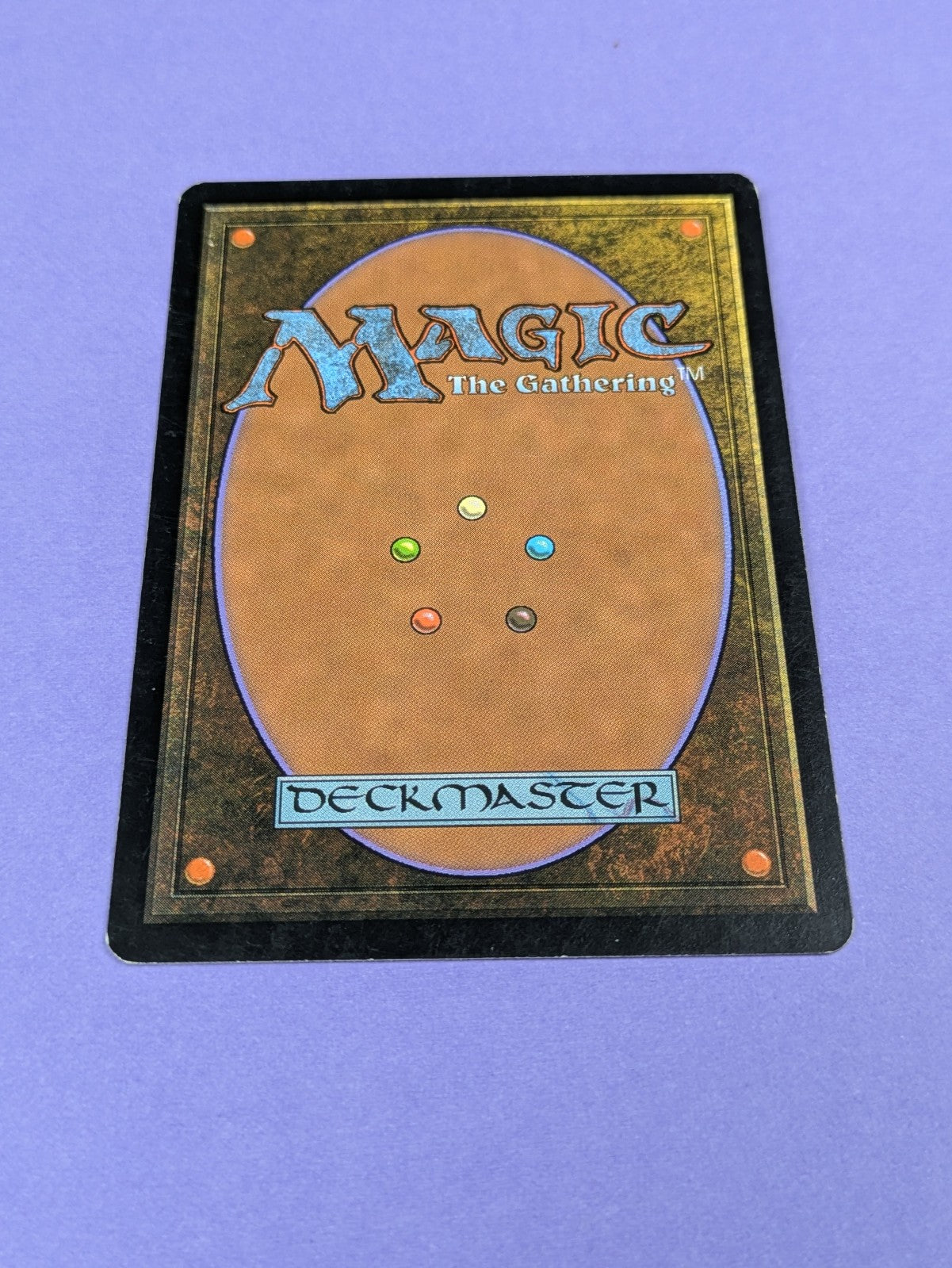 MTG Magic: Lorwyn: Wort, Boggart Auntie #252/301 Rare - NM