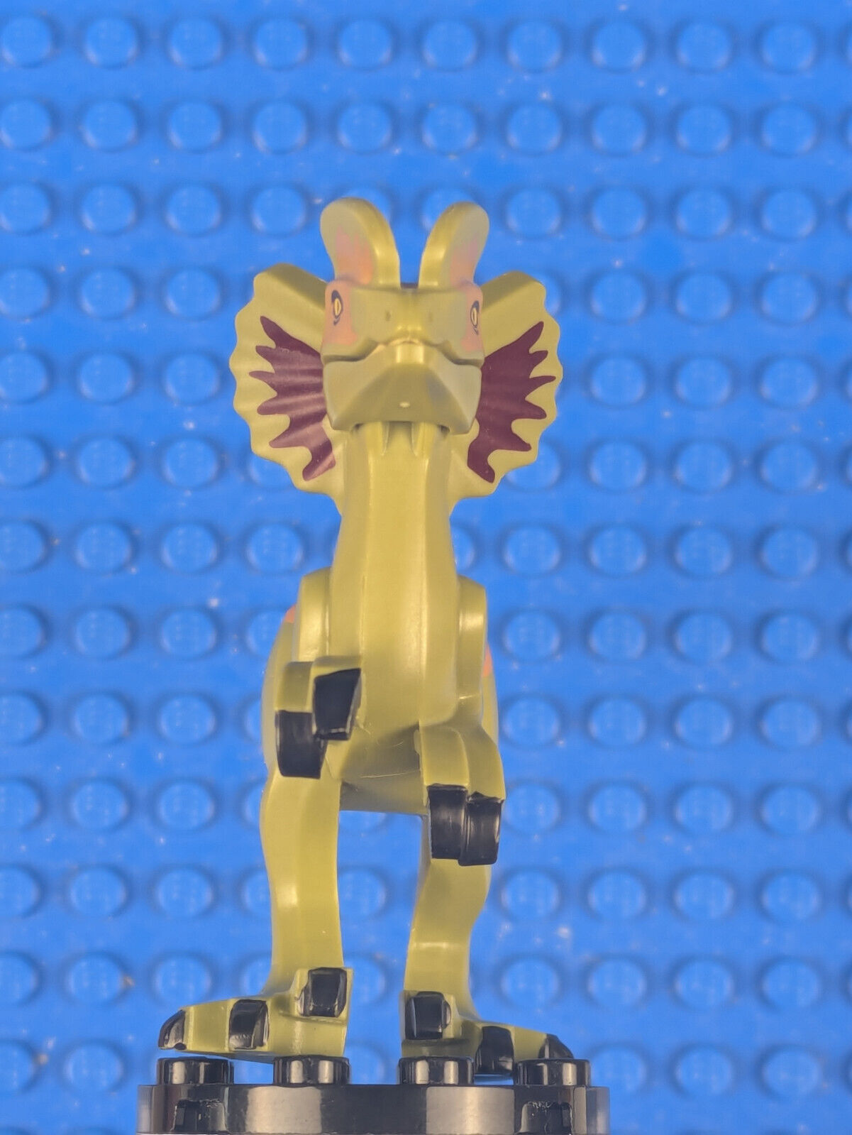 Lego Jurassic World: Legend of Isla Nublar: Dilophosaurus dilo03 Set 75934