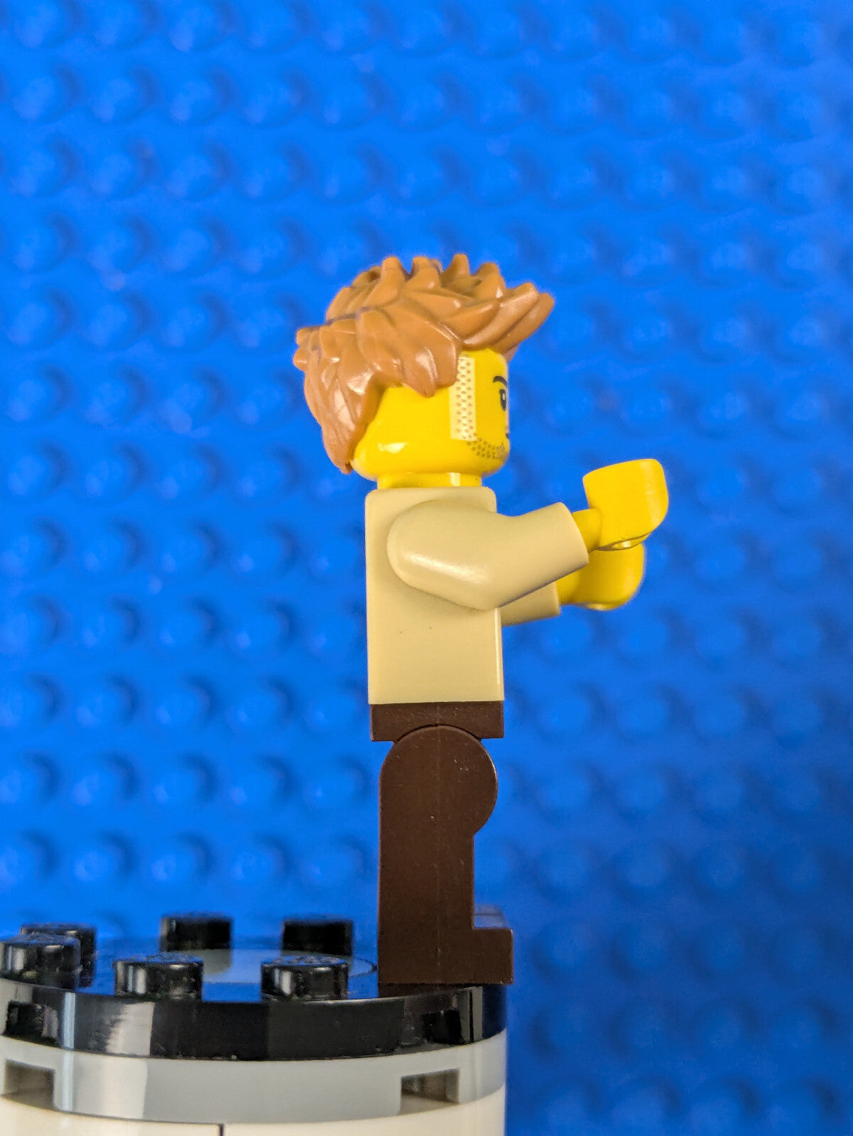 Lego LEGO Ideas (CUUSOO): Dad - Shirt with Dark Green Collar idea052 Set 21318