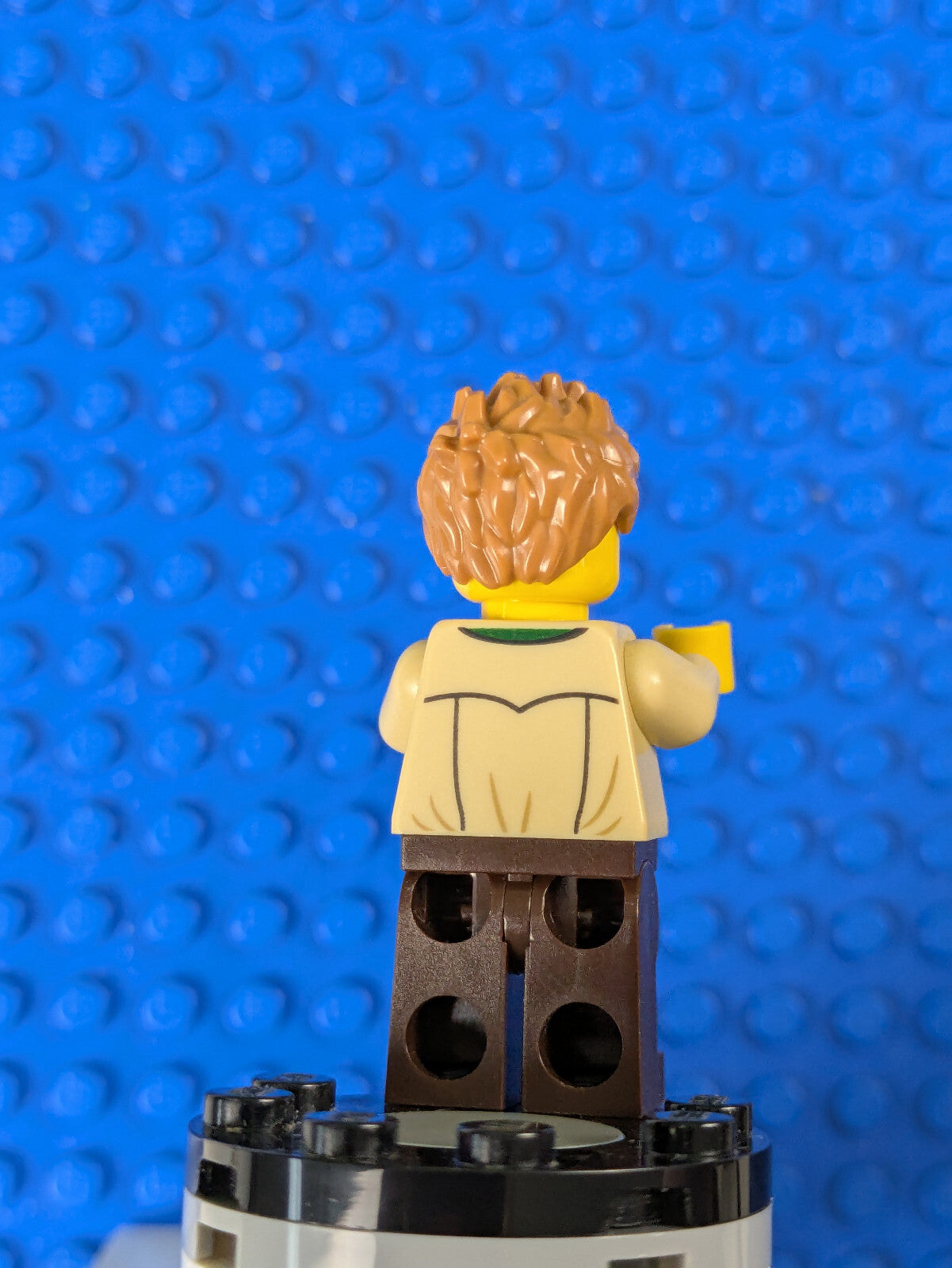 Lego LEGO Ideas (CUUSOO): Dad - Shirt with Dark Green Collar idea052 Set 21318