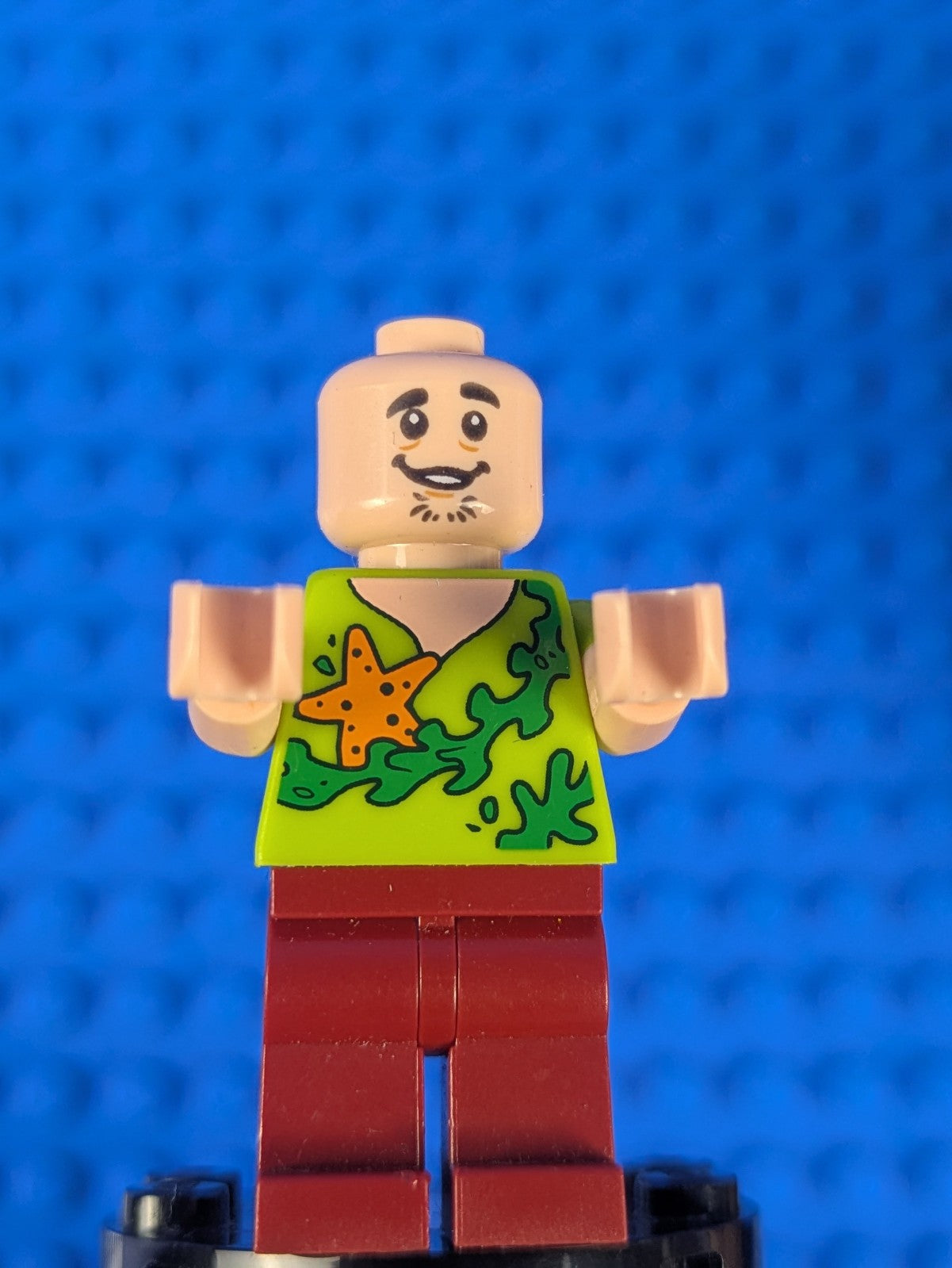 Lego Scooby-Doo: Shaggy Rogers - Seaweed and Starfish Shirt scd012 Set 75903