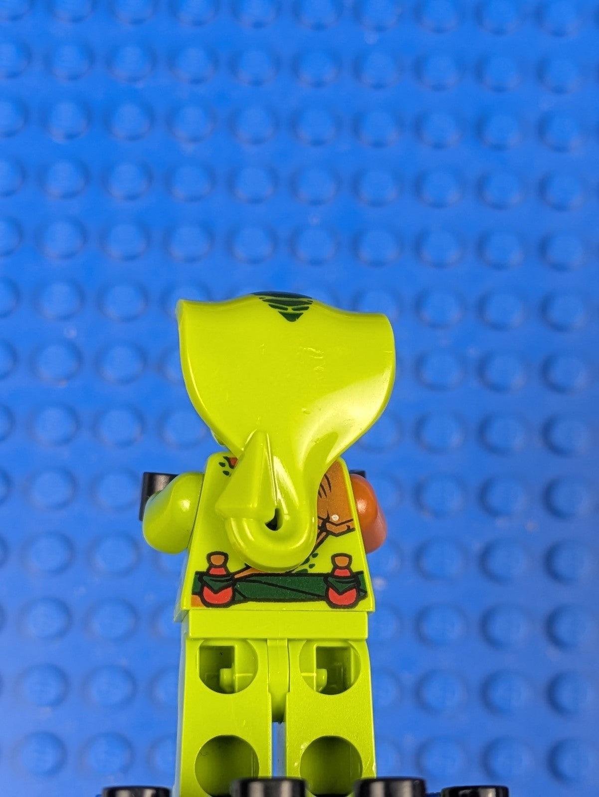 Lego NINJAGO: Lasha - Rebooted njo0206 Set 10722