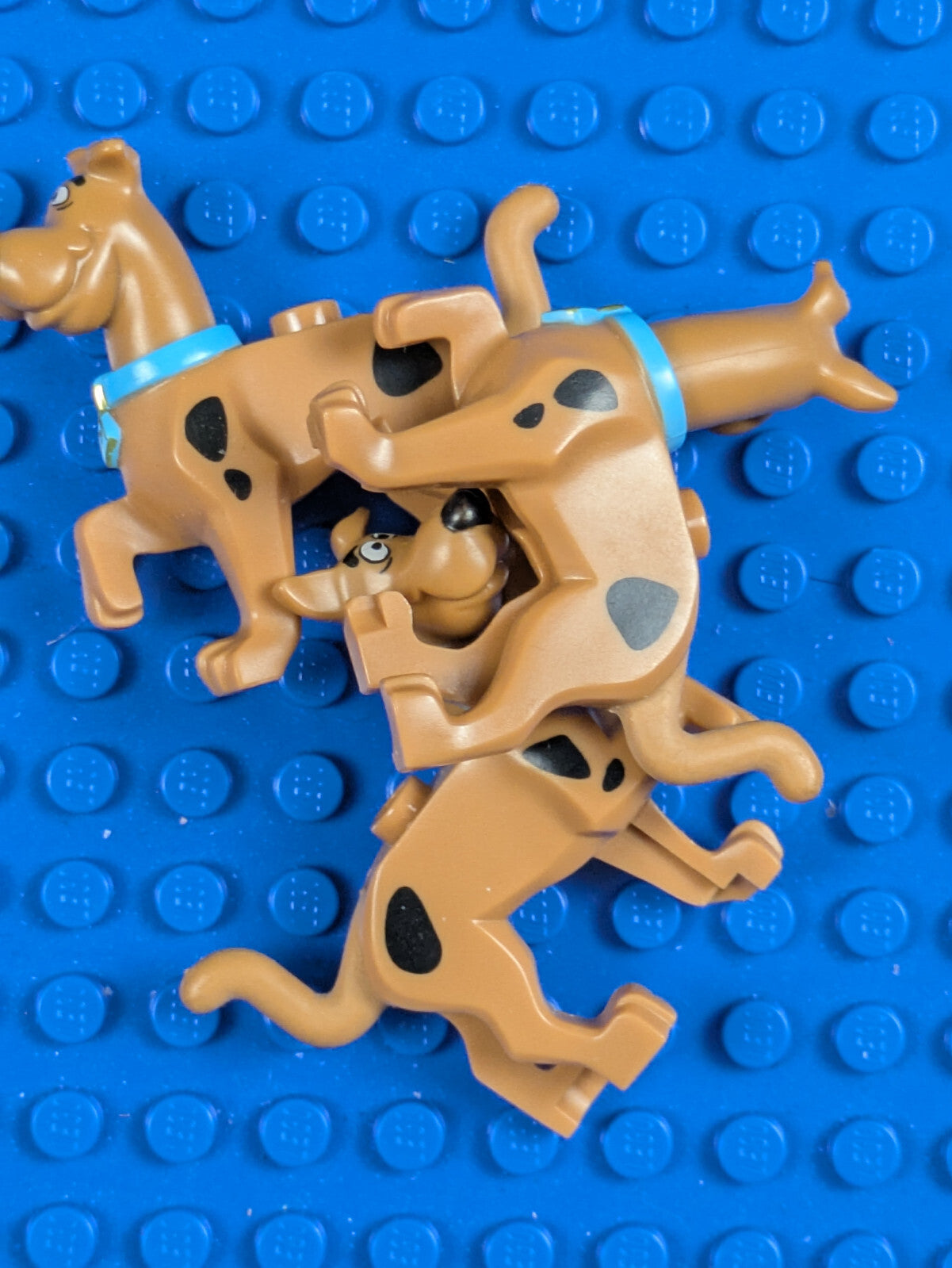 Lego Scooby-Doo: Scooby-Doo - Dog (Great Dane) 21042pb01c01 Sets 75904, 75900