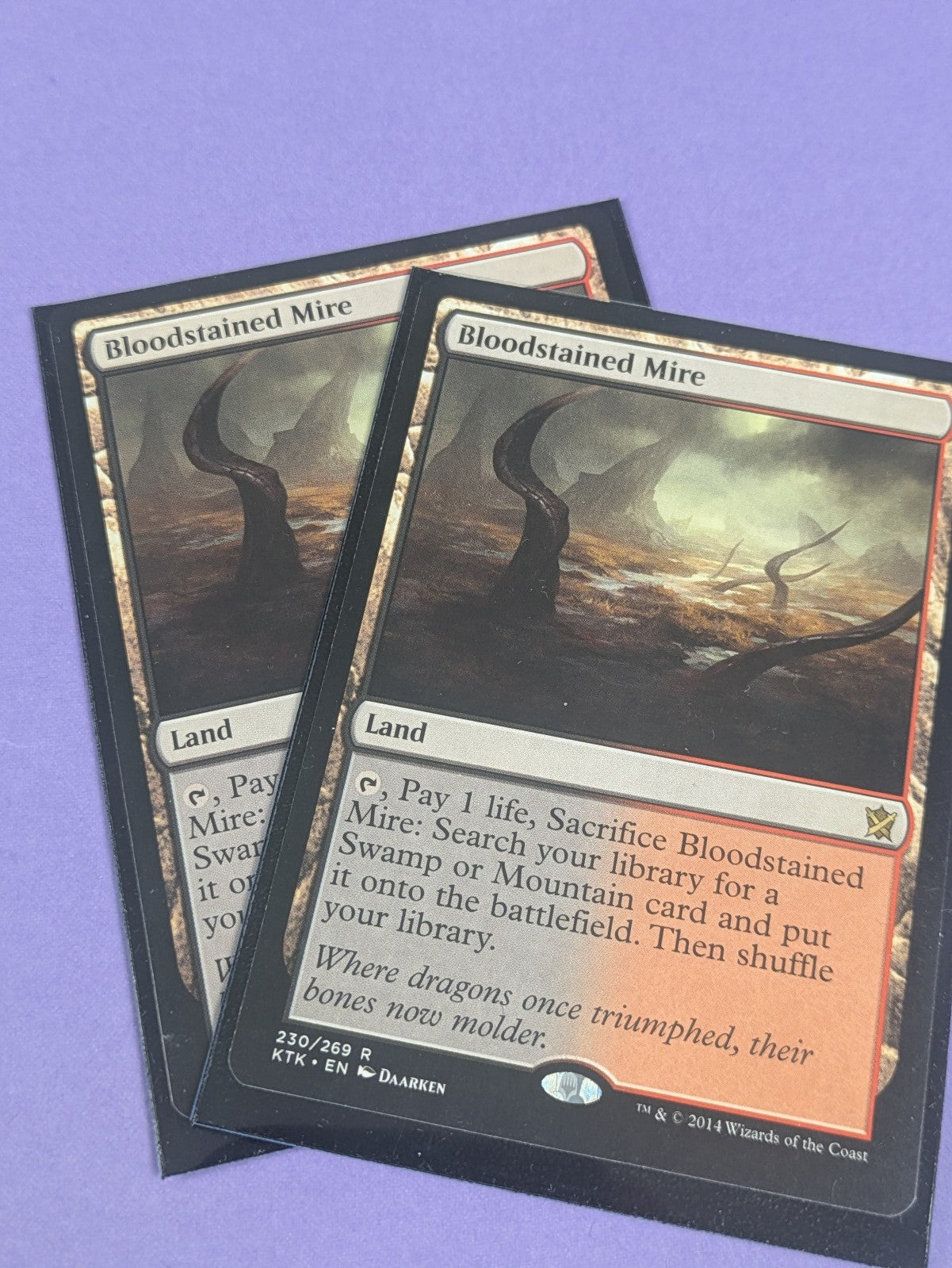 MTG Magic: Khans of Tarkir: Bloodstained Mire #230/269 Rare - NM