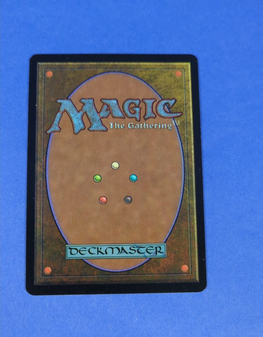 MTG Magic the Gathering: Seventh Edition: Forest Foil #328 Common - NM