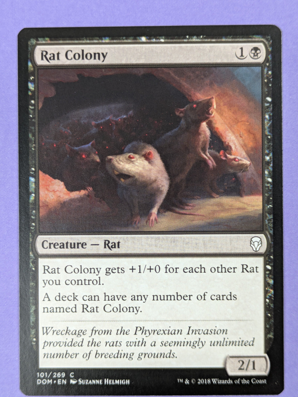 MTG Magic The Gathering: Dominaria: Rat Colony #101/269 Common - NM