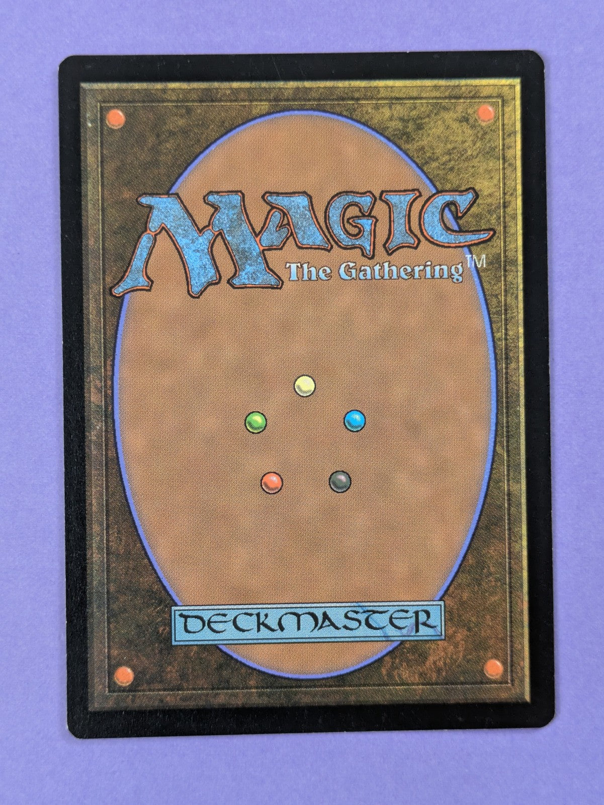MTG Magic: Forgotten Realms Commander: Sword of the Animist #218 Rare - NM