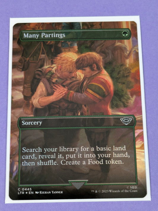 MTG: The Lord of the Rings: Many Partings Borderless Foil #0445 Common - NM