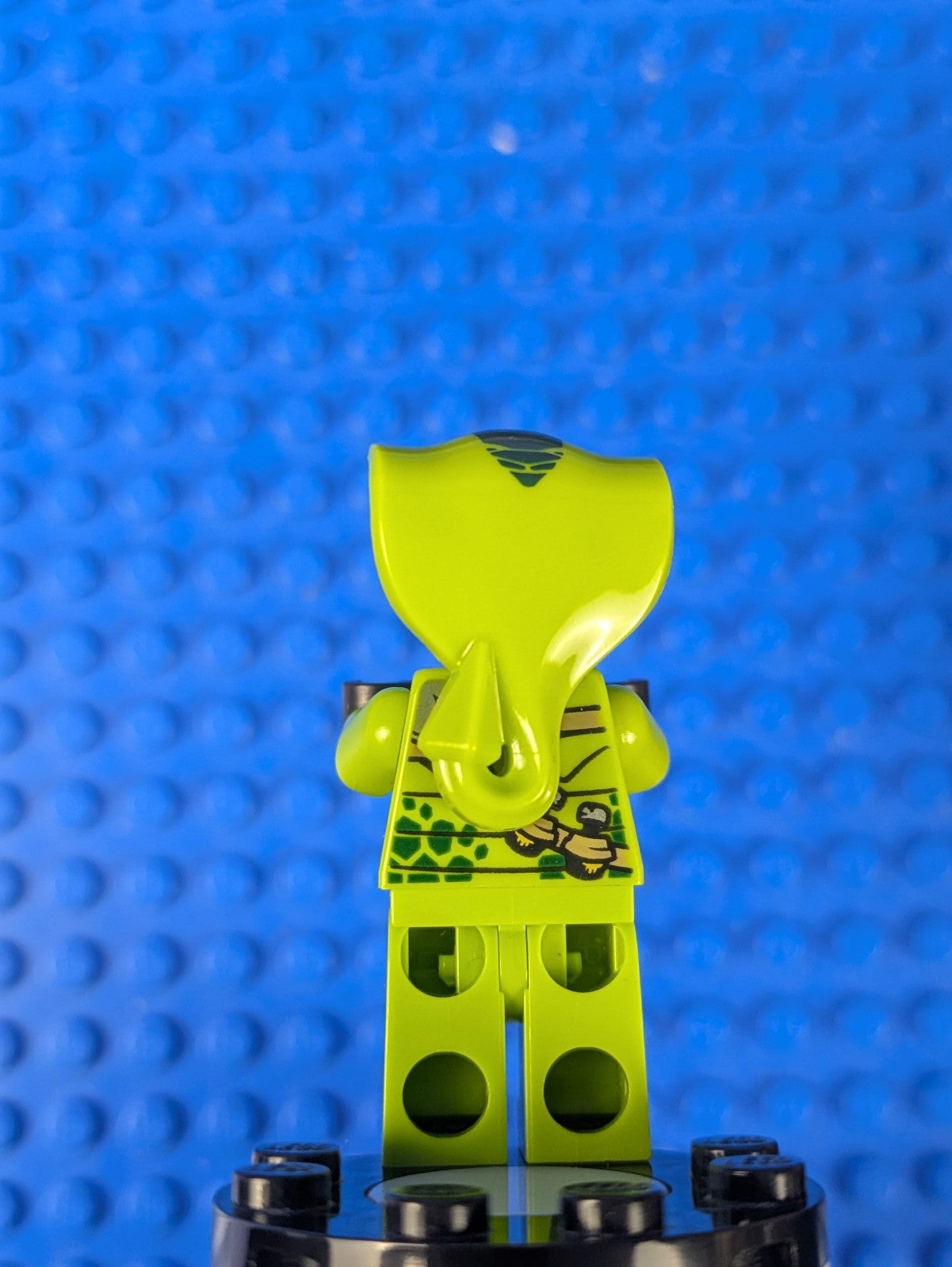 Lego NINJAGO: Legacy: Lasha njo0497 Sets 70668, 112110