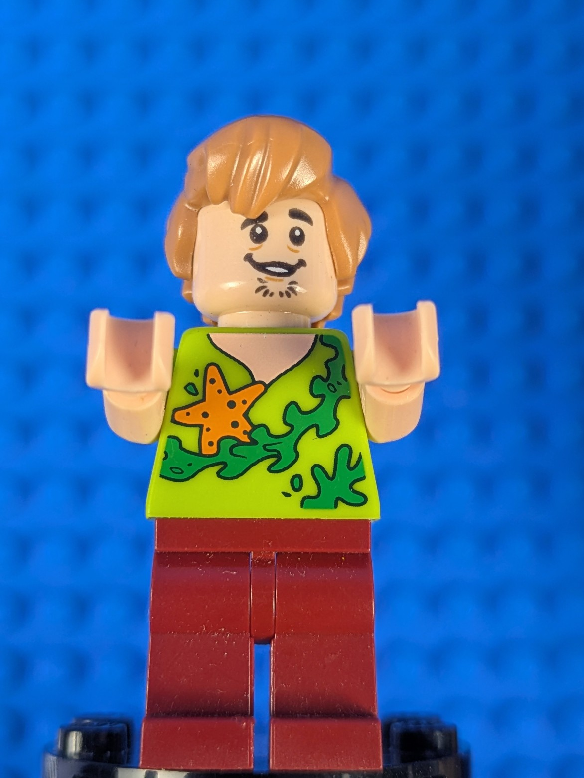 Lego Scooby-Doo: Shaggy Rogers - Seaweed and Starfish Shirt scd012 Set 75903