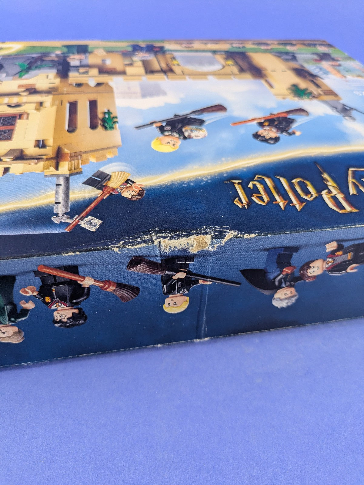 Lego Harry Potter: Hogwarts Castle: Flying Lessons Set 76447 BRAND NEW