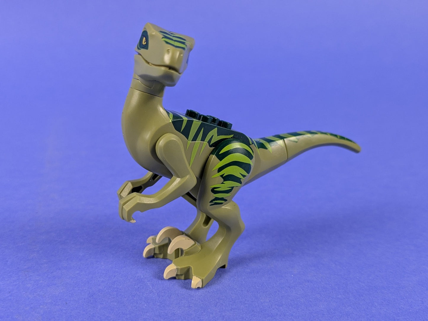 Lego Dino: Dinosaur Raptor Velociraptor with Dark Green Back raptor02 Set 5884