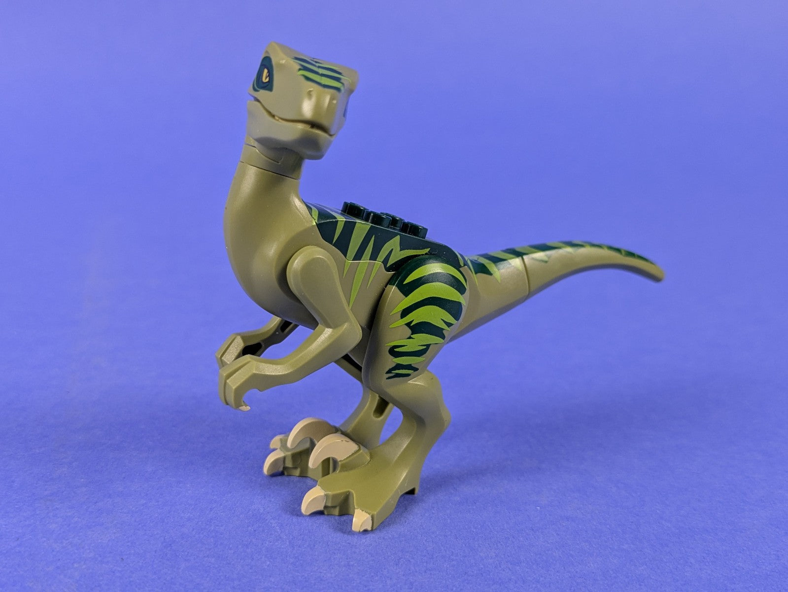 Lego Dino: Dinosaur Raptor Velociraptor with Dark Green Back raptor02 Set 5884