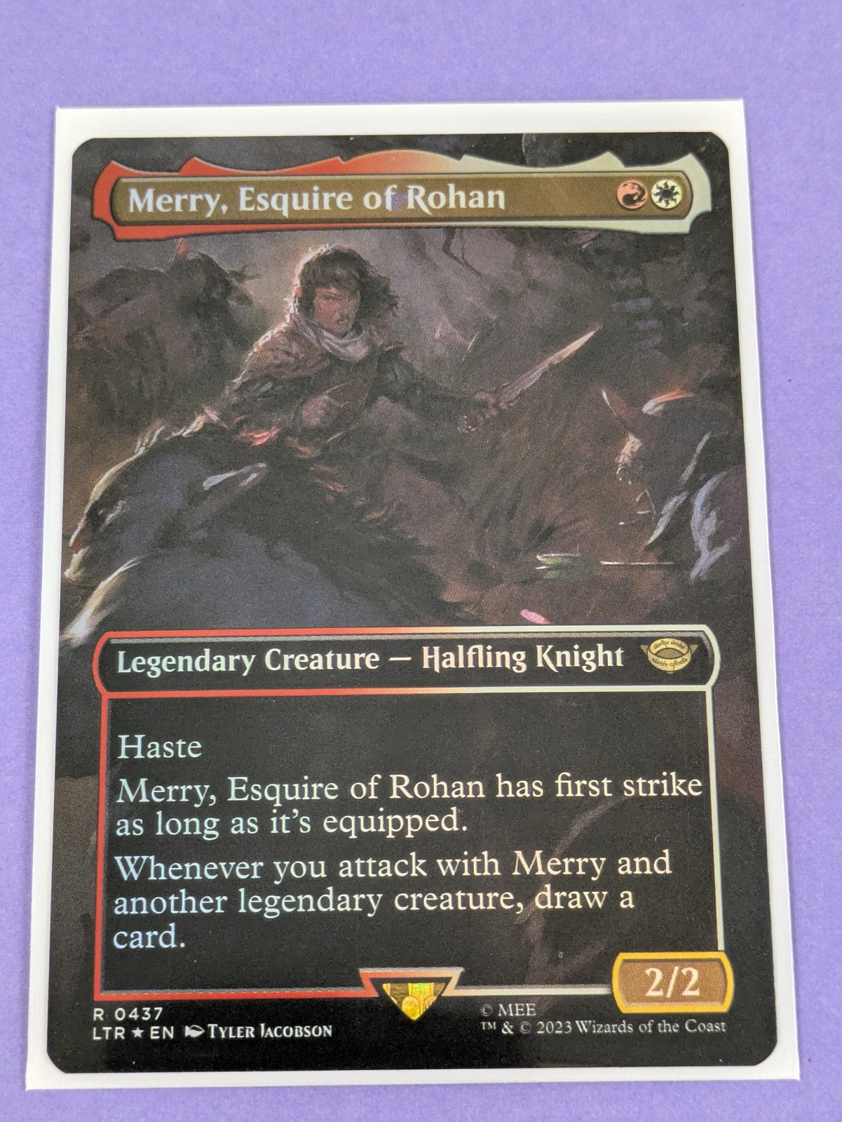 MTG: The Lord of the Rings: Merry, Esquire of Rohan Borderless Foil #0437 - NM