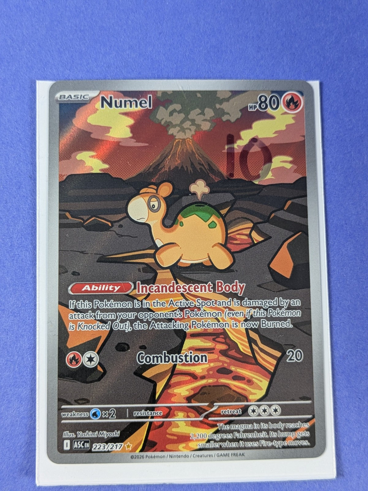 Numel - 223/217 - Illustration Rare Ascended Heroes - Pokemon Card - NM