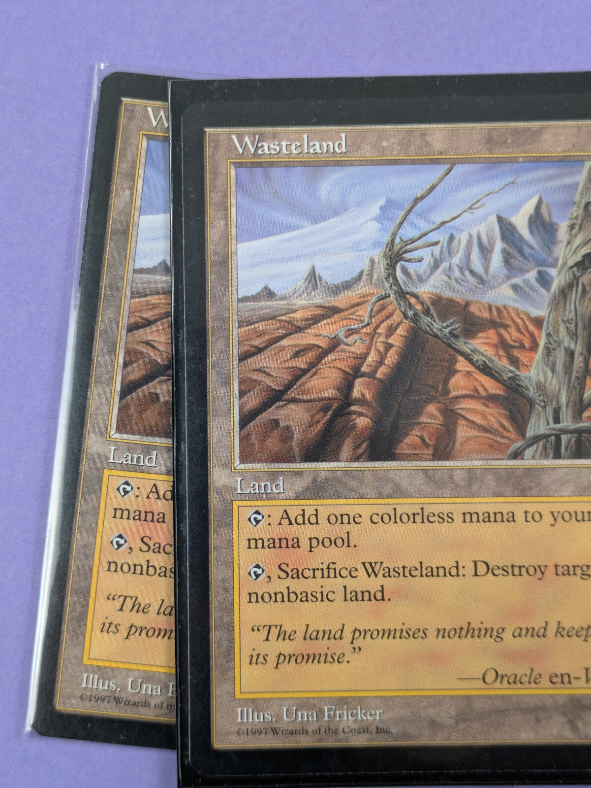 MTG Magic The Gathering: Tempest: Wasteland Uncommon - LP
