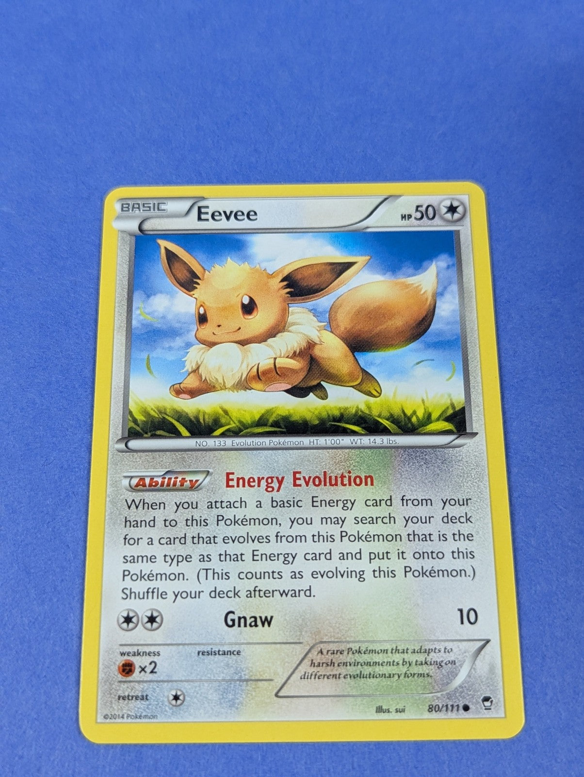 Eevee - 80/111 - Common Furious Fists - Pokemon Card - LP