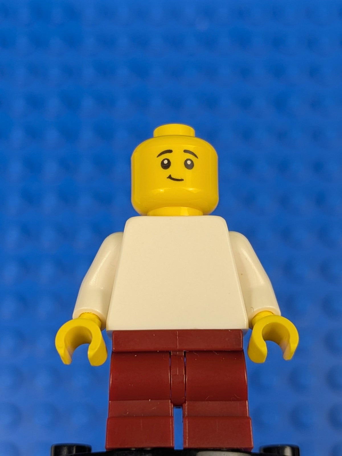Lego Minifigure Series 23: Popcorn Costume col404 Sets 71034, 71036