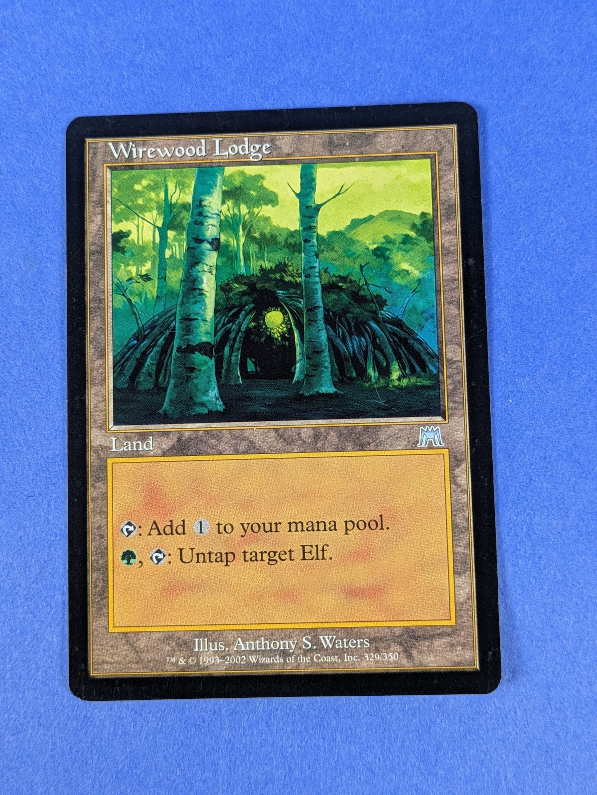 MTG Magic: Onslaught: Wirewood Lodge #329/350 Uncommon - LP