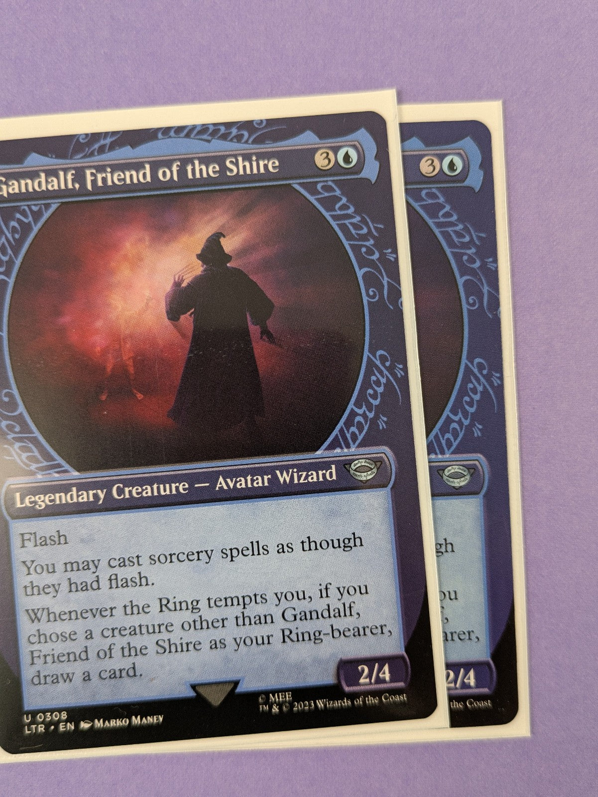 MTG: The Lord of the Rings: Gandalf, Friend of the Shire #0308 Uncommon - NM