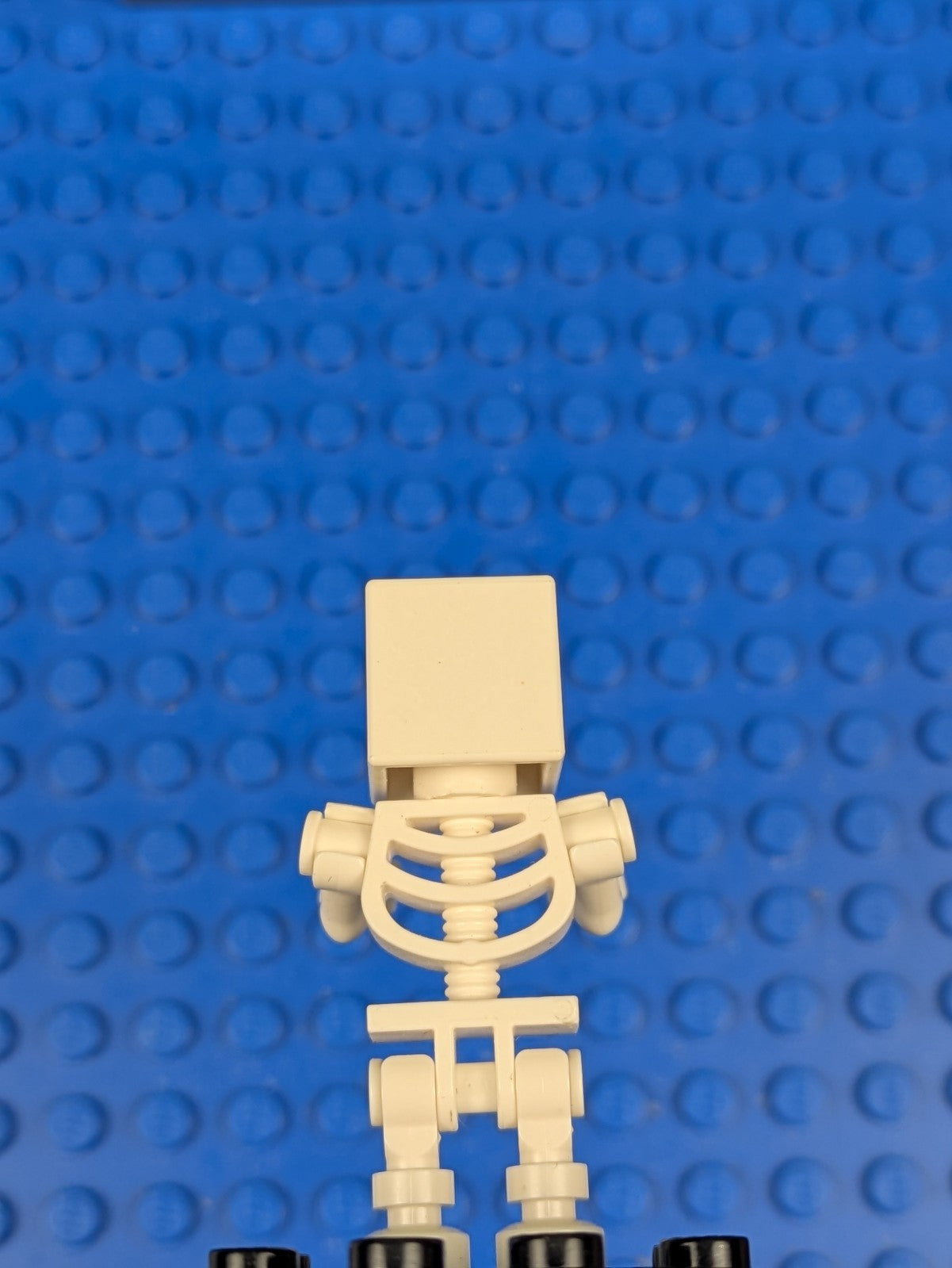 Lego Minecraft: Skeleton - Minecraft min011 Sets 21118, 21282