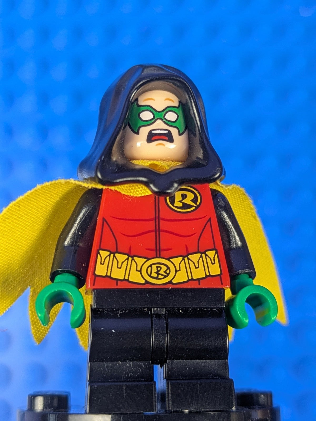Lego Super Heroes: Batman II: Robin - Green Hands and Hood sh0289 Set 76056